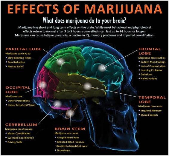 Effects of Marijuana